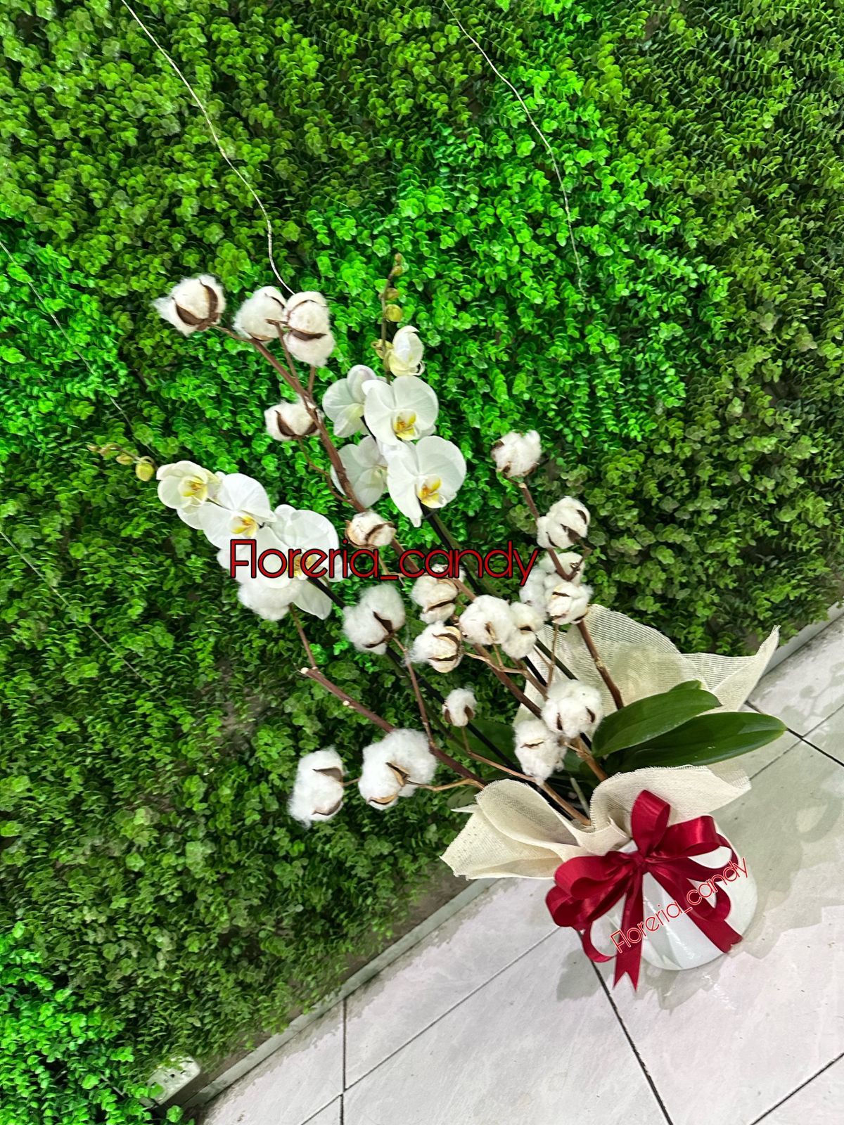 ORQUIDEA BLANCA CON FOLLAGE
